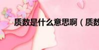 質數是什么意思啊(質數是什么意思)