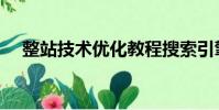 整站技術優化教程搜索引擎(整站程序)