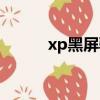 xp黑屏驗證補丁下載(xp黑屏)