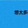 想太多歌詞改編（想太多歌詞）