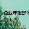 企業年報是今年報去年的嗎（企業年報是指什么）