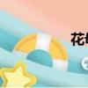 花母狗迅雷（花 母狗）