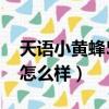 天語小黃蜂5g手機值得購買嗎（天語小黃蜂怎么樣）