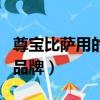尊寶比薩用的什么油煙機（尊寶比薩是哪里的品牌）
