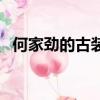 何家勁的古裝電視劇（何家勁古裝電視劇）