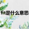 fit是什么意思中文（充電寶上的fit什么意思）