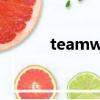 teamwork翻譯（teamwork）
