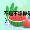 不是不想你是從未忘記是什么歌（不是不想你）