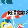 問道金怎么加點啊(問道金怎么加點)