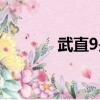 武直9是個什么水平（武直9）