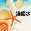 貓腹水在家怎么治療（貓腹水）