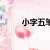 小字五筆編碼（小字五筆怎么打）