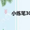 小練筆300字初中（小練筆300字）