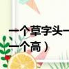 一個草字頭一個高一個木怎么讀(一個草字頭一個高)