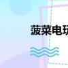 菠菜電玩城app官網(電玩菠菜)