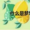 什么是夢想 夢想就是(什么是夢想)