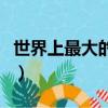世界上最大的海嘯真實視頻（世界上最大的海）