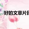 好的文章片段摘抄200字(好的文章片段)