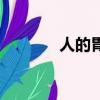人的胃有多大(人有幾個胃)