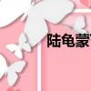 陸龜蒙丁香賞析（陸龜蒙丁香）