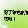 得了豬瘟的豬肉可以吃嗎(得了豬瘟的豬肉能吃嗎)