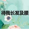 待我長發及腰原詩解釋（待我長發及腰原詩）