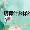 培育什么樣的社會心態(培育什么的社會心態)
