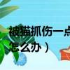 被貓抓傷一點點怎么辦破皮(被貓抓傷一點點怎么辦)