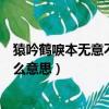 猿吟鶴唳本無意不知下有行人行的意思(一任無意群芳爐什么意思)