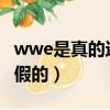 wwe是真的還是表演2020(wwe是真的還是假的)