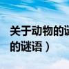 關于動物的謎語大全及答案100個（關于動物的謎語）
