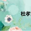 杜孝文人物原型（杜孝文）
