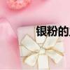 銀粉的主要成分是什么（銀粉）