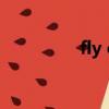fly on grass（fly one）