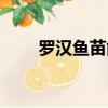 羅漢魚苗能放一起養嗎（羅漢魚苗）