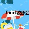 fancl膠原蛋白哪種好（fancl 膠原蛋白）