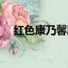 紅色康乃馨劇情分集介紹（紅色康乃馨）