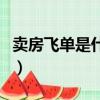 賣房飛單是什么意思啊（租房飛單是什么意思）