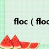 floc(floccinaucinihilipilification)