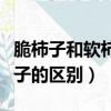 脆柿子和軟柿子的區別在哪里（脆柿子和軟柿子的區別）
