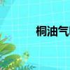 桐油氣味有毒嗎（桐油有毒嗎）