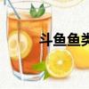 斗魚魚類可以養幾條（斗魚魚類）