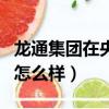 龍通集團在央企排名第幾（龍通科技有限公司怎么樣）