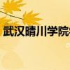武漢晴川學院學費多少（武漢學院學費多少）