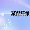 聚酯纖維100%好不好(聚酯纖維)