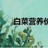 白菜營養價值有什么（白菜營養價值）