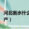河北衡水什么特產最有名(河北衡水有什么特產)