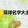 籃球名字大全簡單(好聽的籃球名字大全)