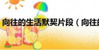 向往的生活默契片段(向往的生活默契游戲)