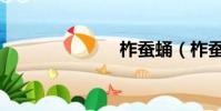 柞蠶蛹(柞蠶)